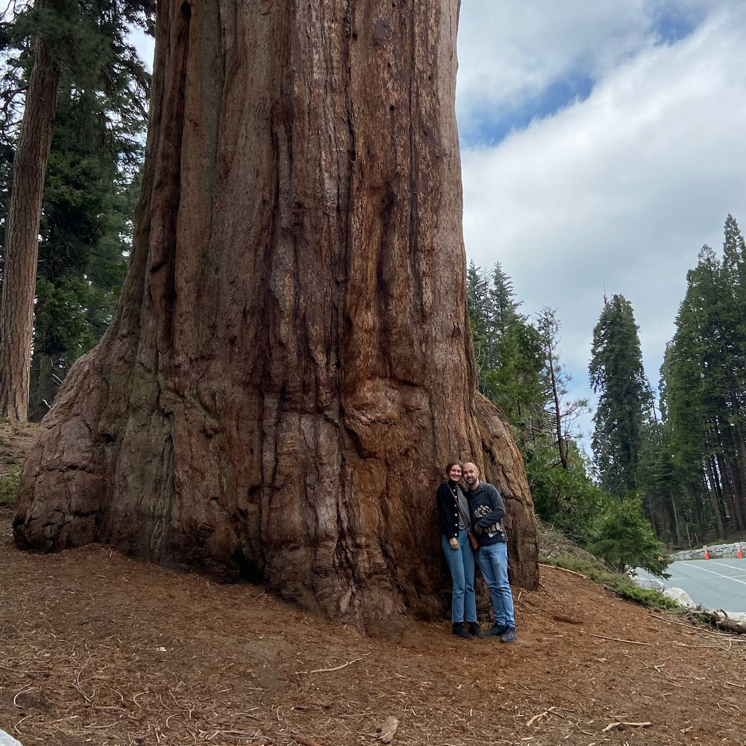 2023 - Sequoia National Park, California