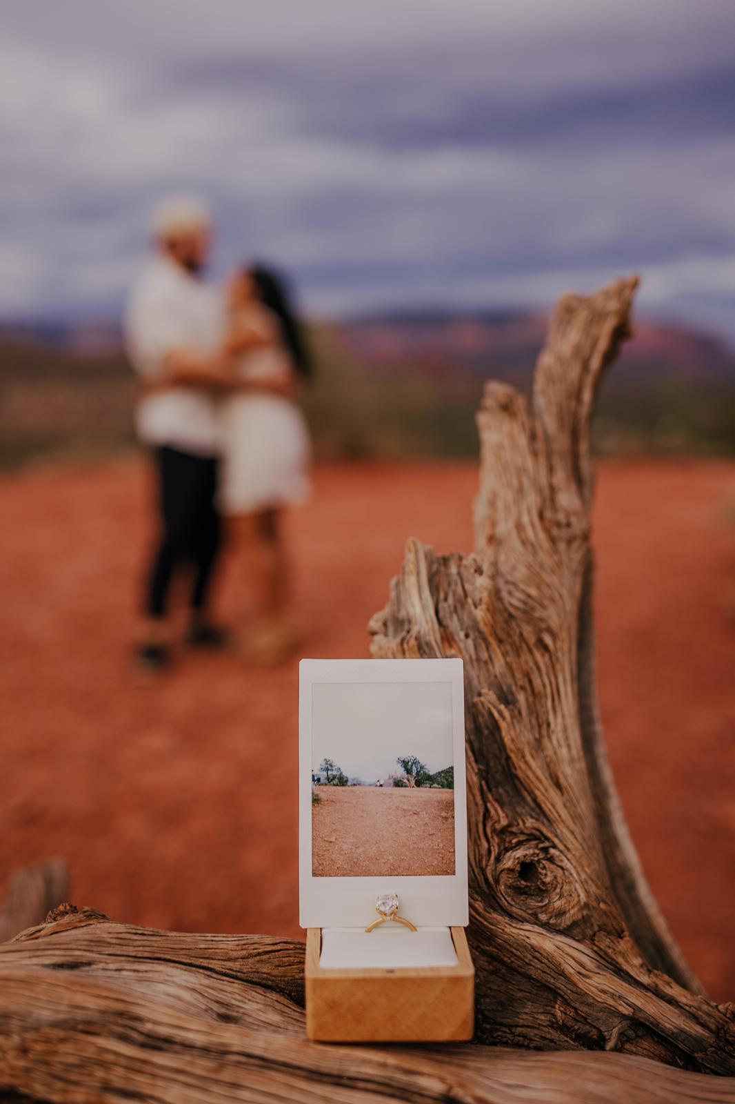 The Wedding Website of Aria Mathew and Stephen Fernandez
