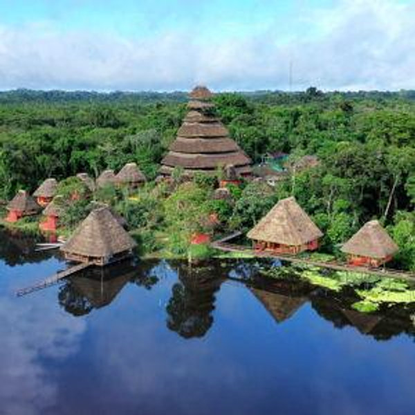 Honeymoon in the Amazon
