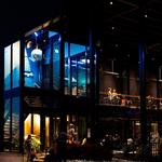 Logboat Brewing Company