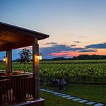 Macari Vineyards