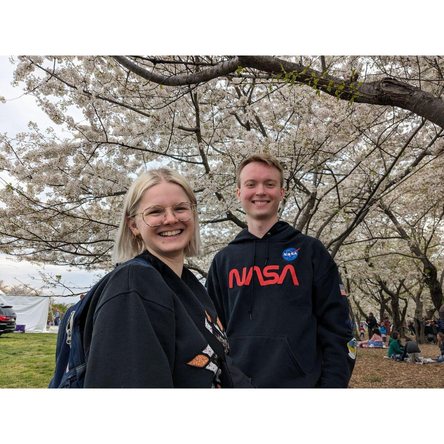 2024: On the national mall for the kite festival and the cherry blossoms