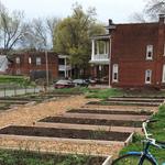 Pendleton Heights Community Garden