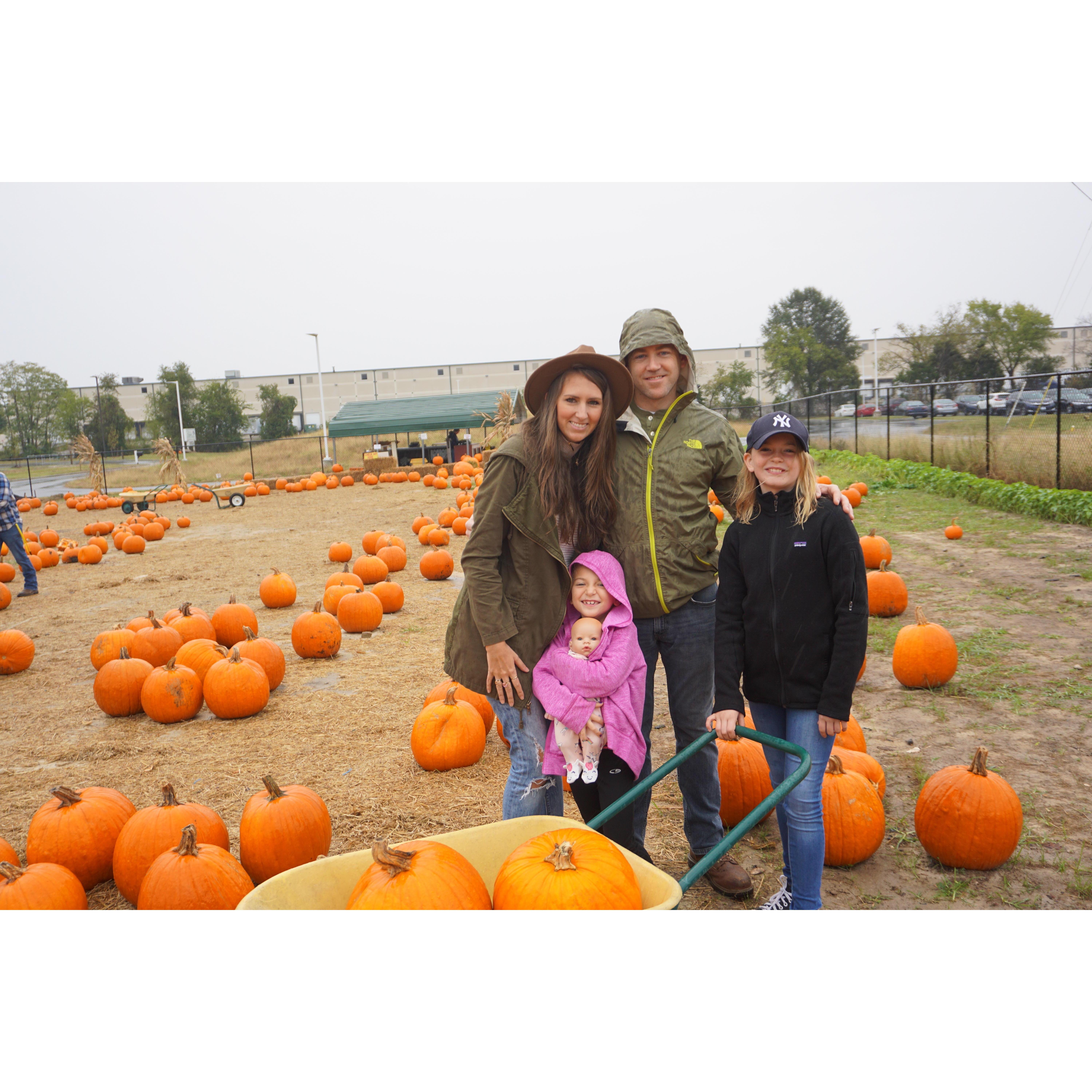 Pumpkin patch 2018