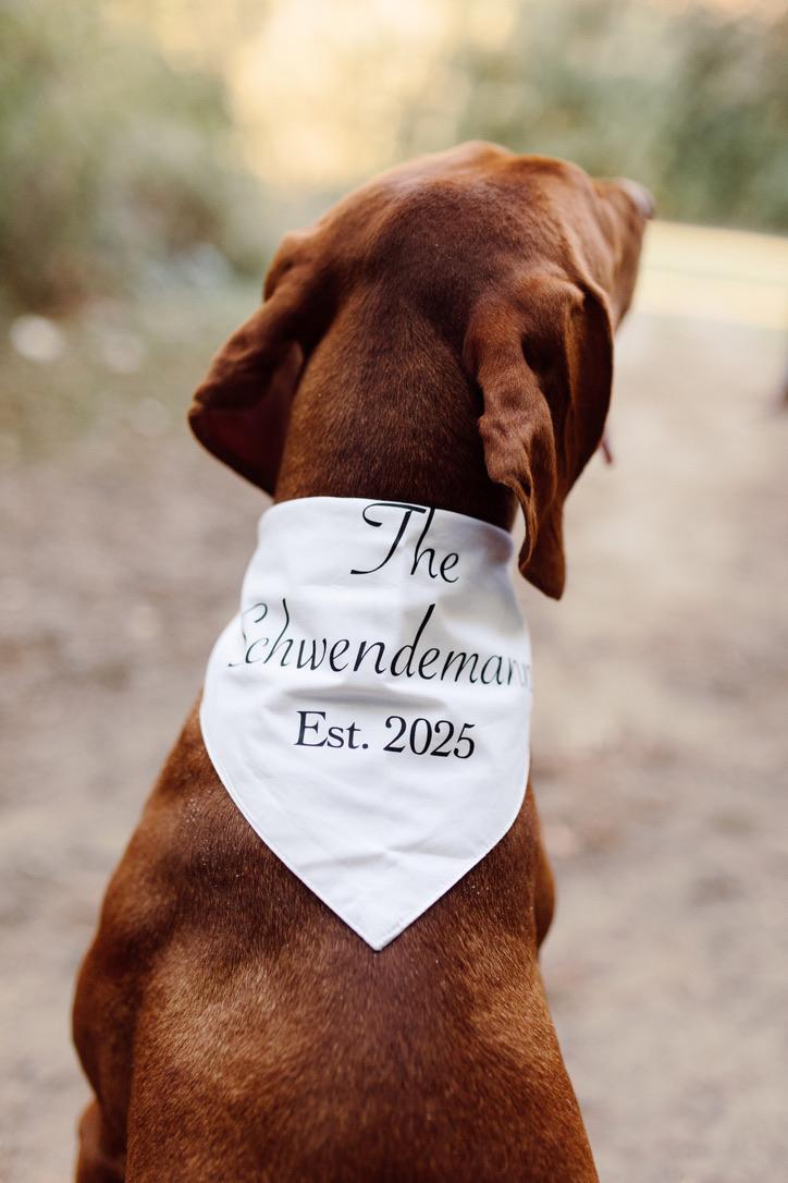 The Wedding Website of Jennifer Igielski and Luke Schwendemann