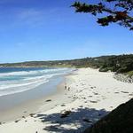 Carmel Beach