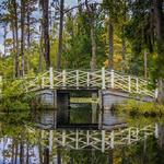 Cypress Gardens
