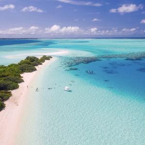 Honeymoon Fund ♡ Fiji + New Zealand