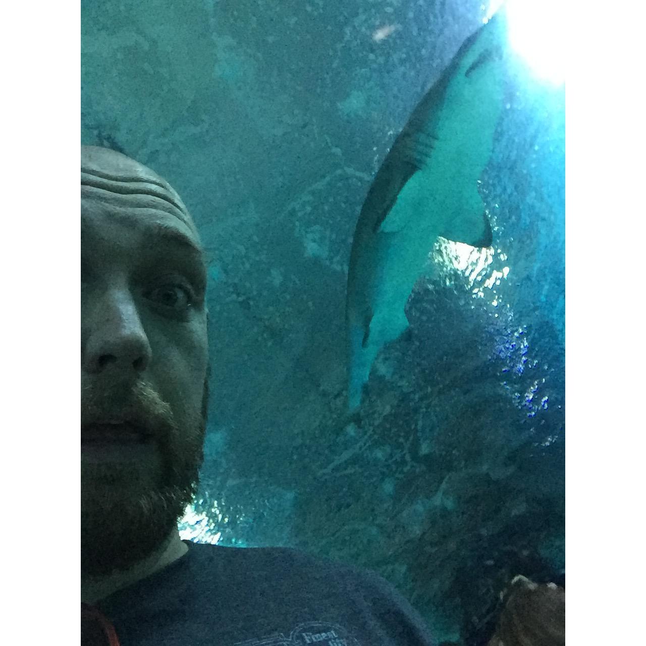 Valencia aquarium!