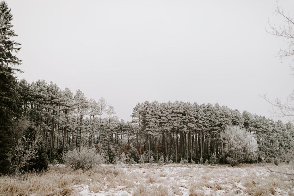 The Wedding Website of Nicole Rae and Alex Meyer