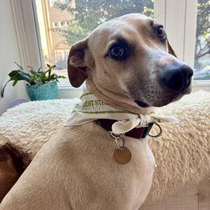 Wallace boarding fund!