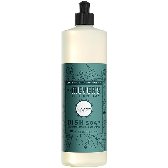 DISH SOAP ECALYPTUS 16OZ