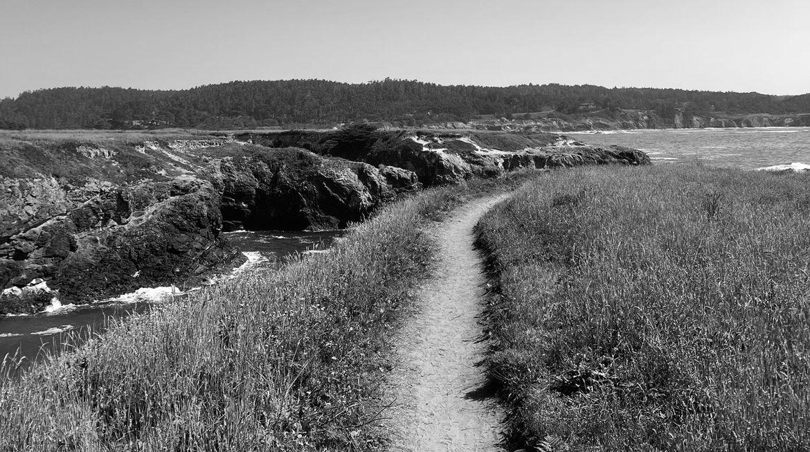 The Wedding Website of Dan Hill and Anna Lyon