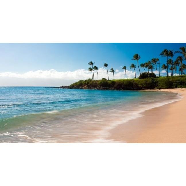 Kapaulua Bay Beach, where we will say our "I do's"!