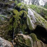 Rose Valley Falls - Trail to Waterfall