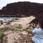 Halona Beach Cove