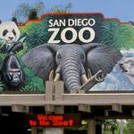 San Diego zoo