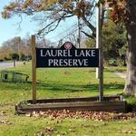 Laurel Lake Preserve