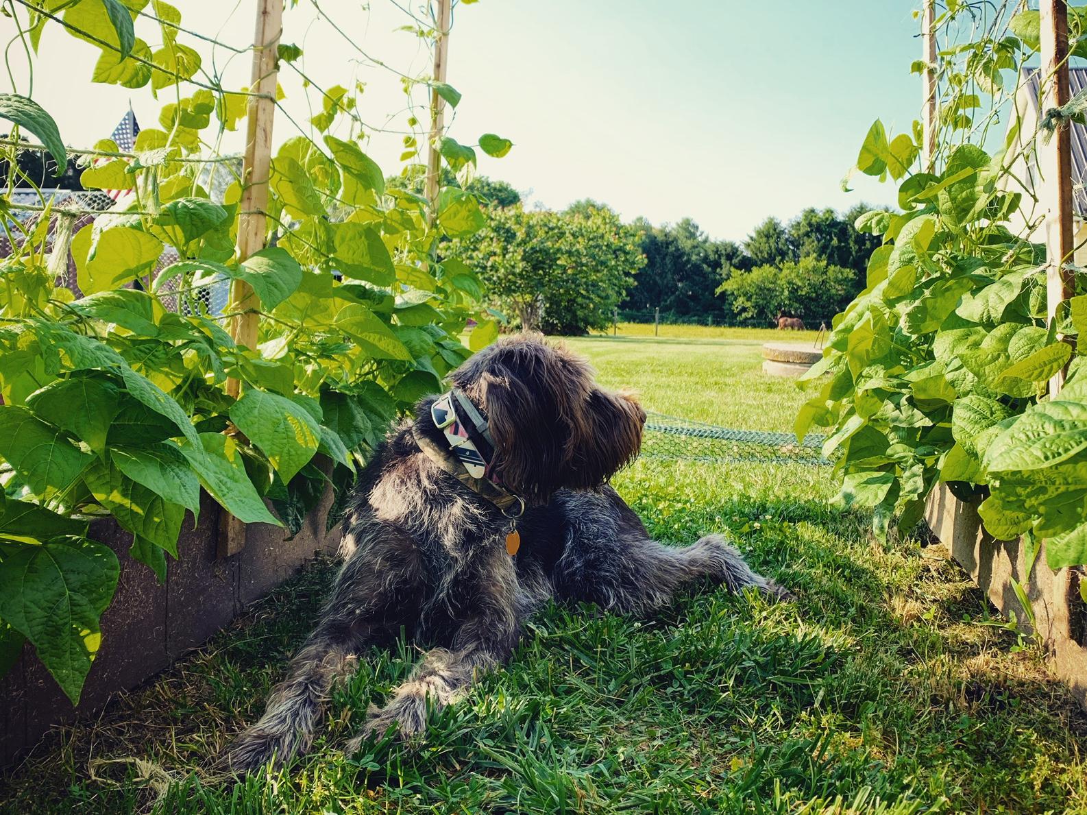 The Wedding Website of Sarah Blakely and Chris Blakely