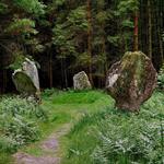Blackpark Stone Circle