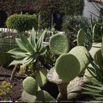 Explore and taste Ensenada