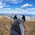 Trail Riding - Horseback