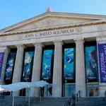 Shedd Aquarium