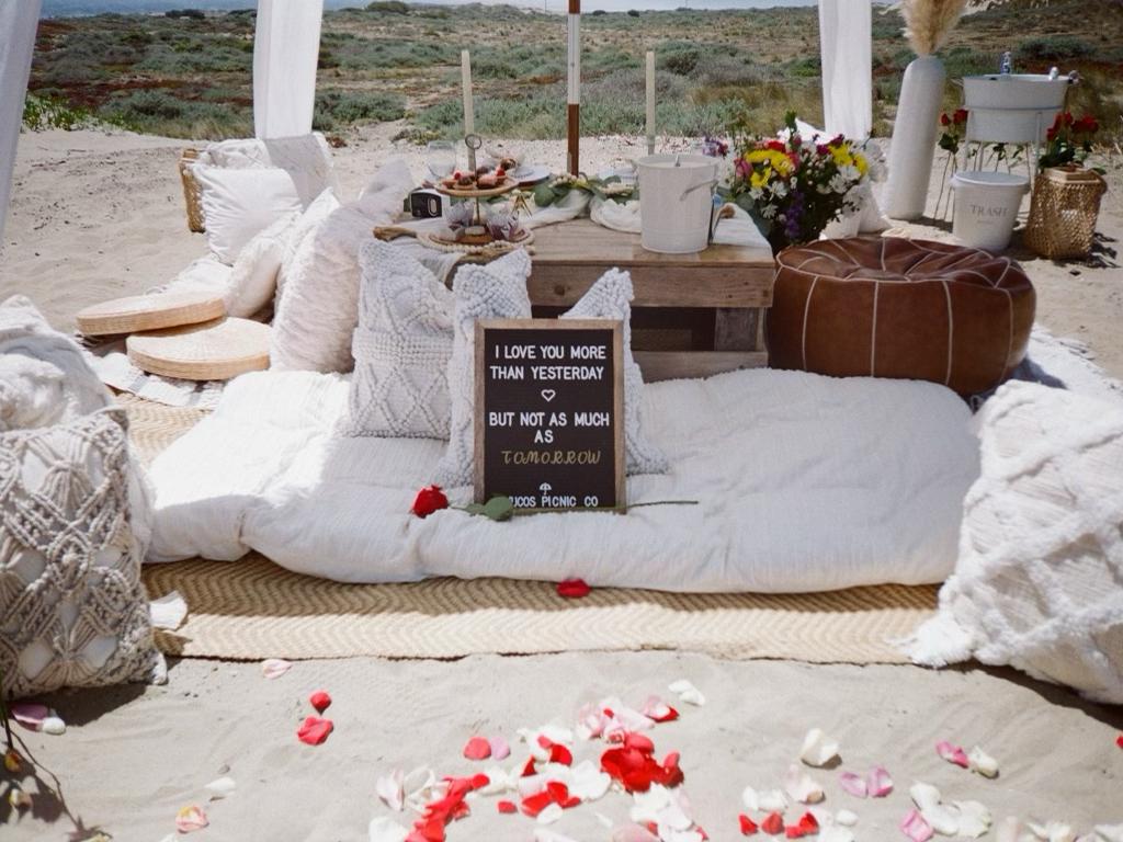 The Wedding Website of Amanjot Sra and Matthew Benincosa