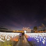 10,000 Roses Cafe in Cebu