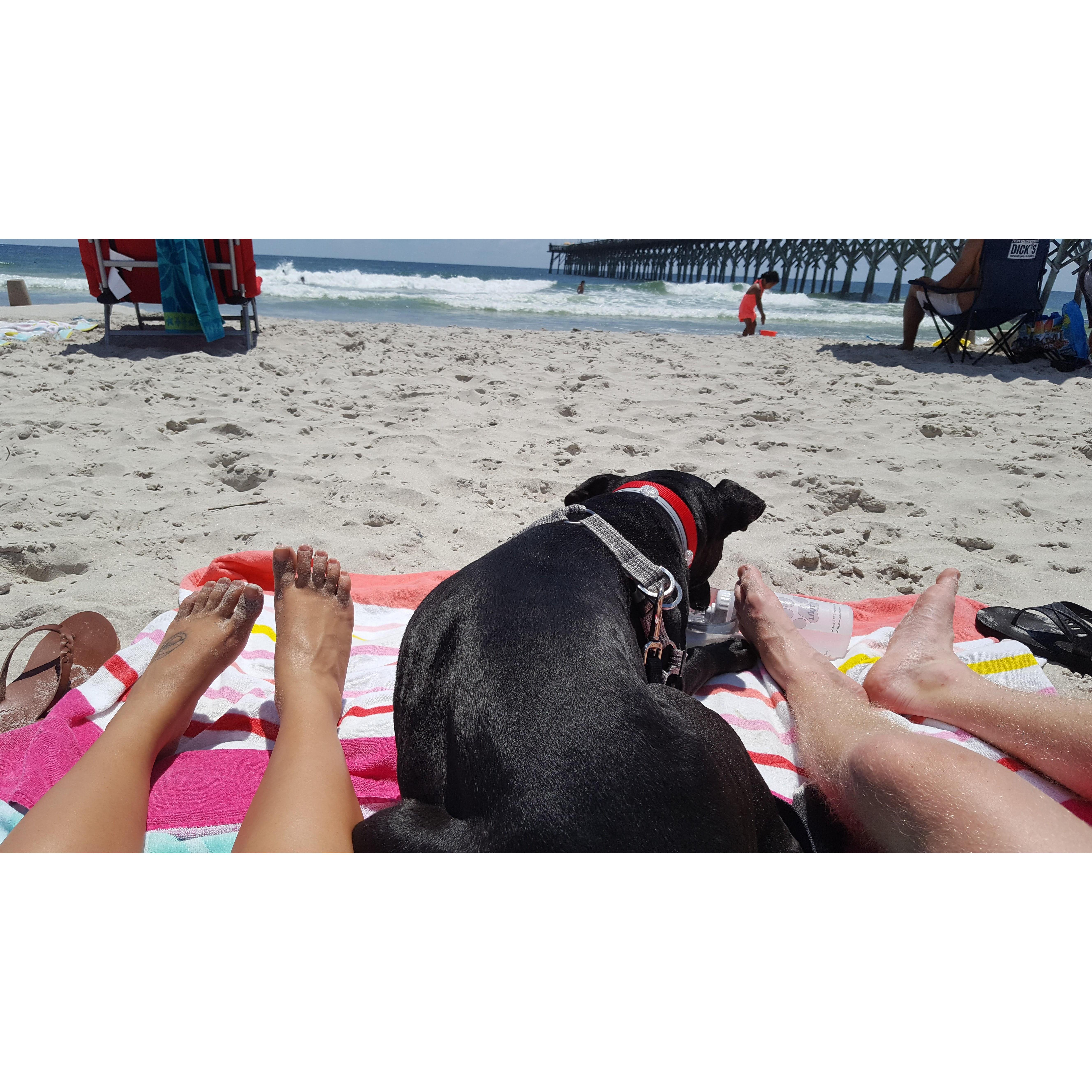 Rosa loves the beach. Noah and I took her every chance we got!