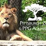 Pittsburgh Zoo & PPG Aquarium