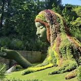 Atlanta Botanical Garden