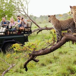 Private Game Drive