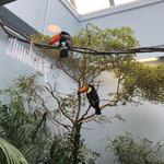 National Aviary