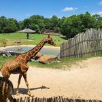 Caldwell Zoo