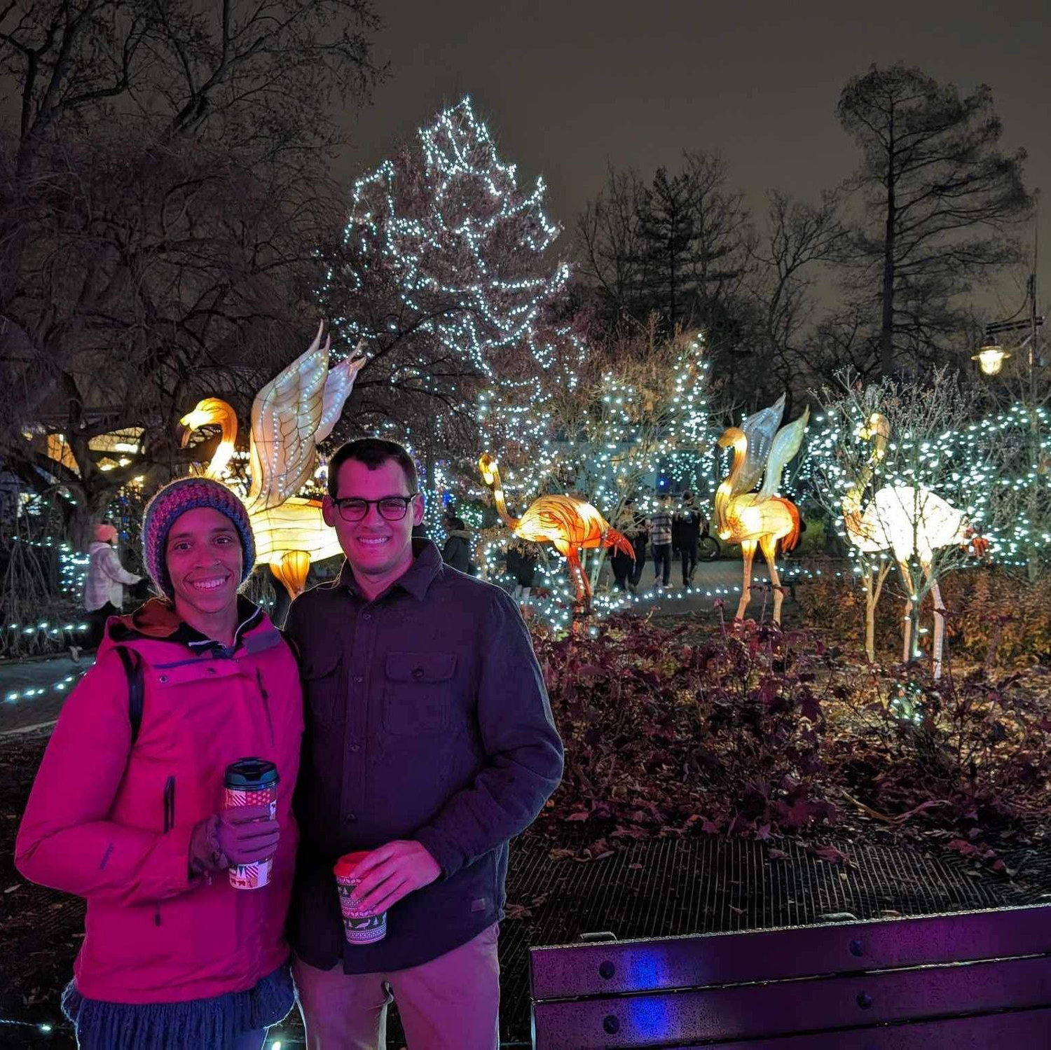 Cincinnati Zoo Lights