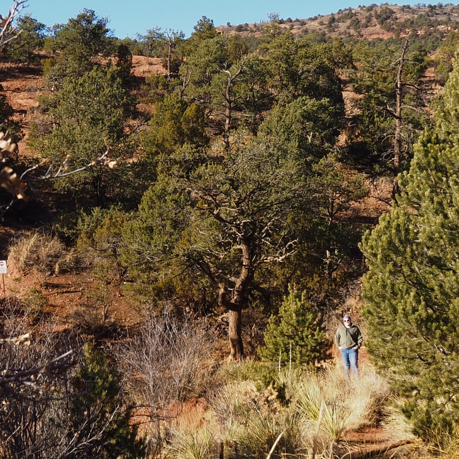 Siamese Twins trail at the Garden of the Gods
