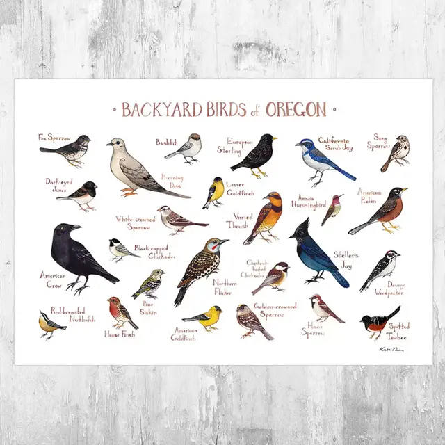 Oregon Backyard Birds Art Print