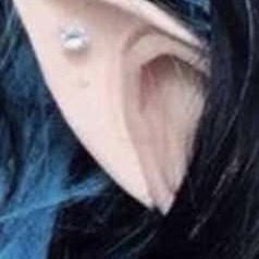 Wear any ears, claws, horns, teeth, hooves, scales etc! We’re inspired by Faerieworlds, the bride’s favorite Pagan festival & D&D, the groom’s favorite game. She’ll wear elf ears w/ many piercings.