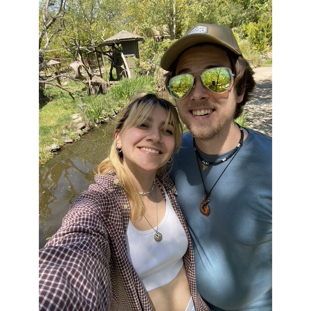 Wine country safari trip (hyena lovers)