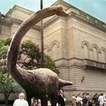 Carnegie Museum of Natural History