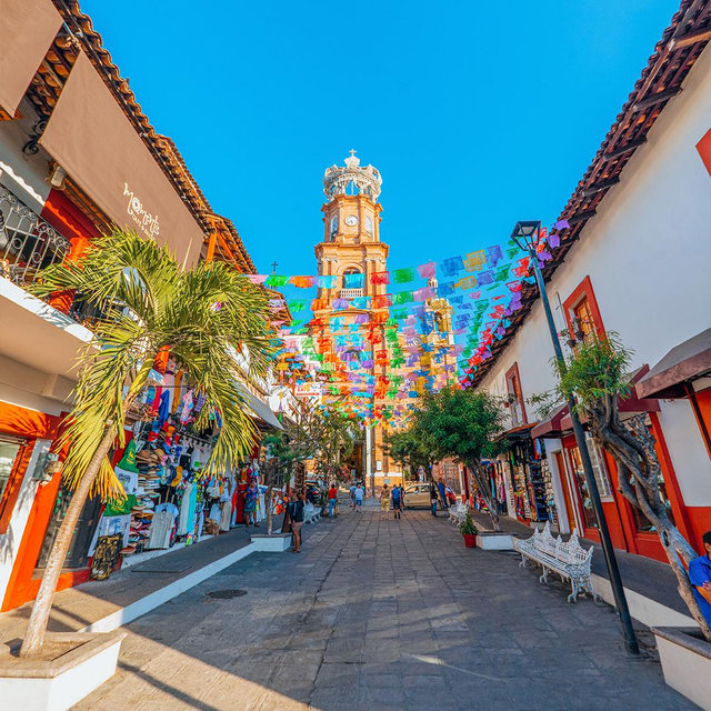 Puerto Vallarta Show with Lunch