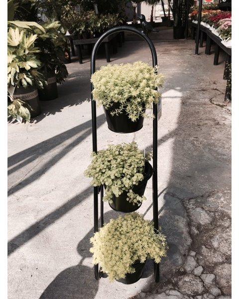 Herb Garden Etagere Plant Stand                    by                              Artscapes