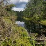 Star Lake Hiking Trail