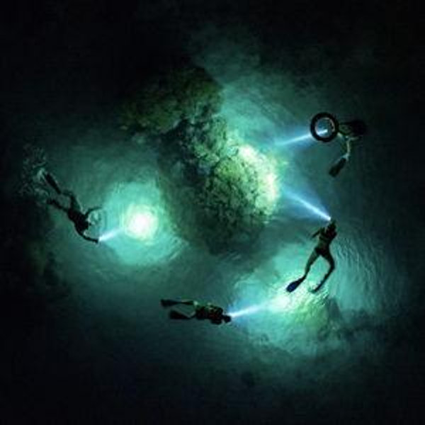 Davui Reef Night Snorkelling Safari