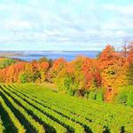 Old Mission Peninsula