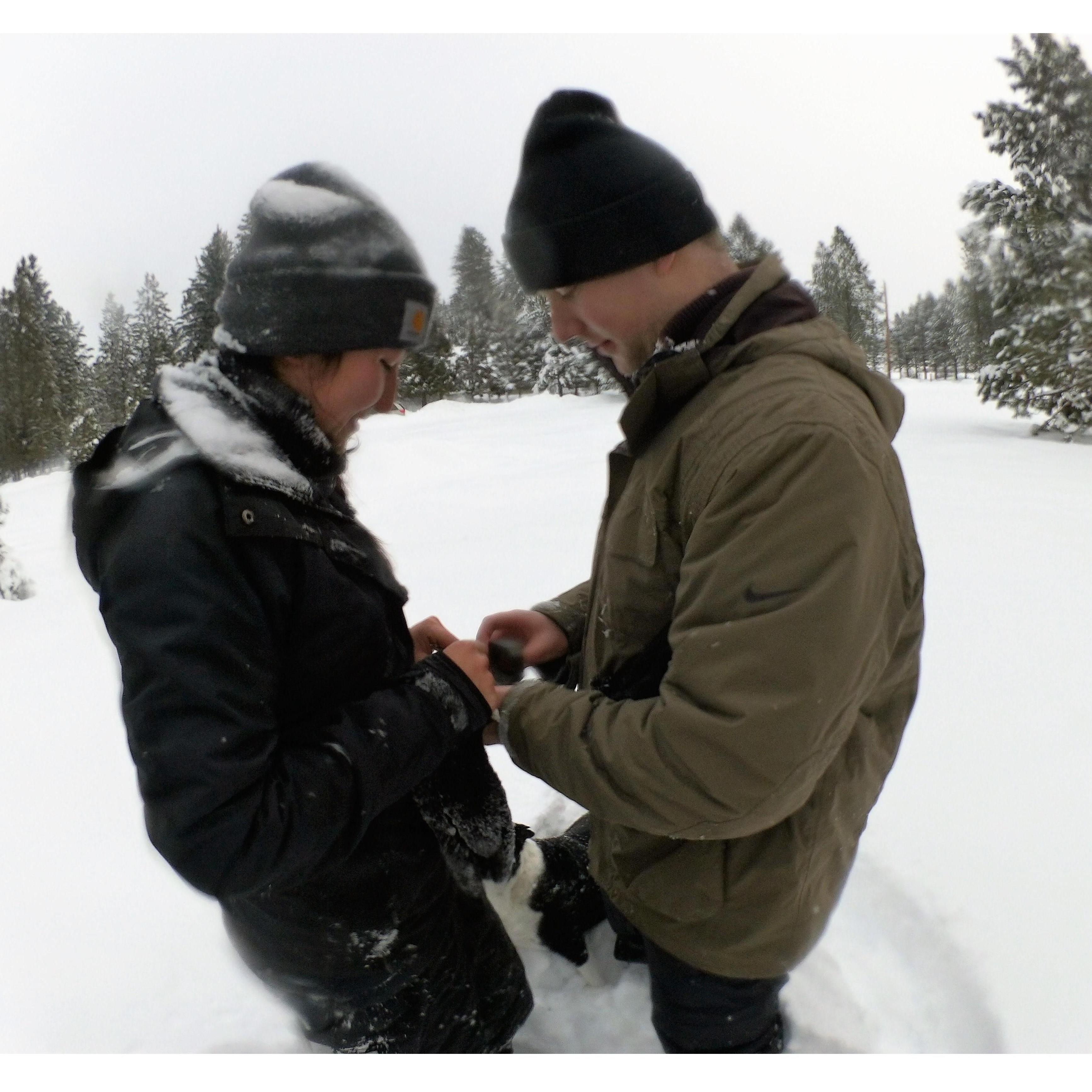 Getting Engaged - Garden Valley, Idaho
December 30, 2016