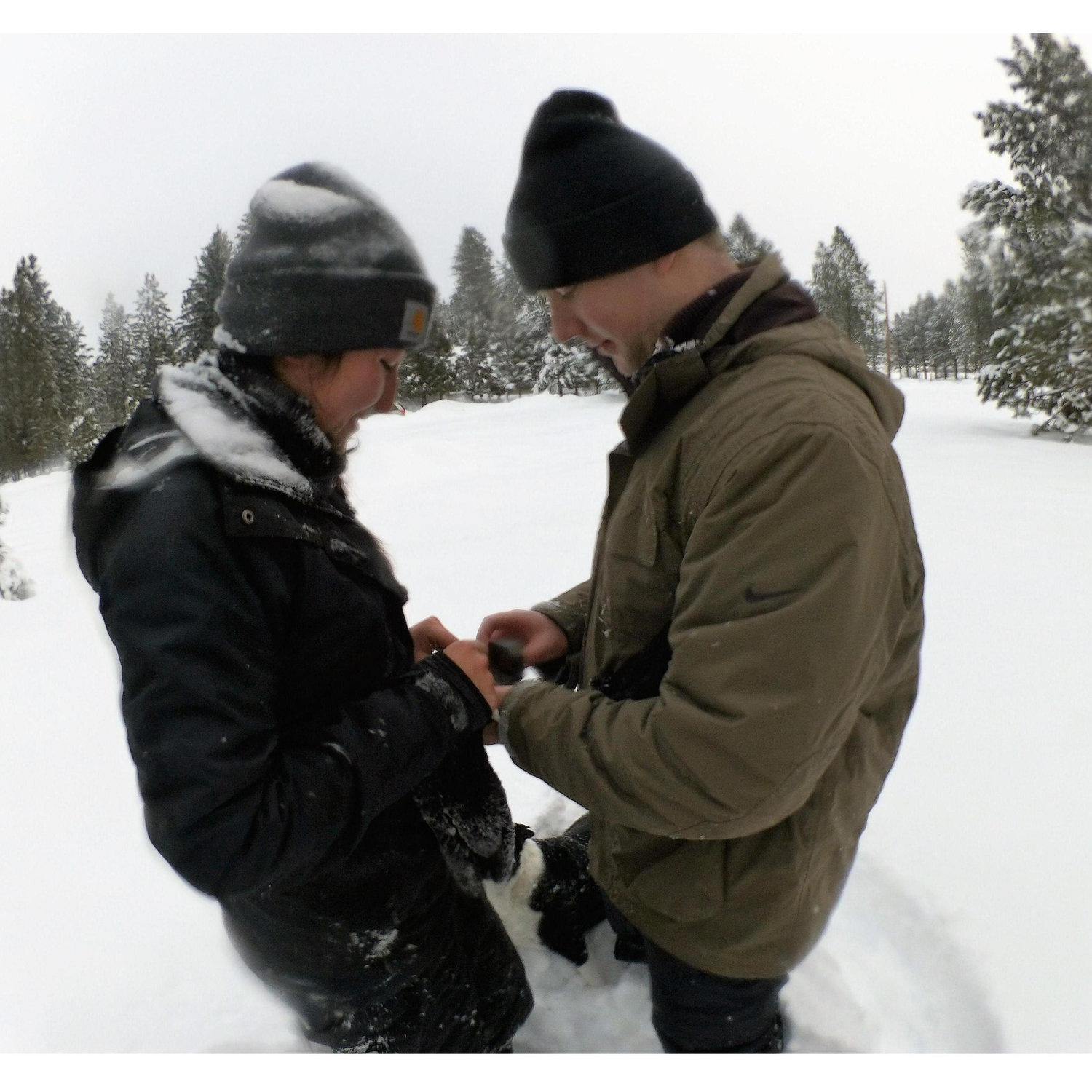 Getting Engaged - Garden Valley, Idaho
December 30, 2016