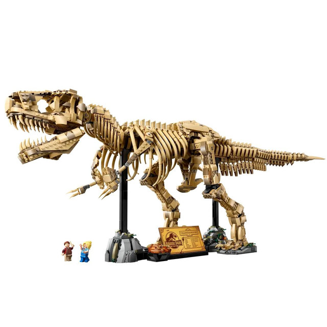 Dinosaur Fossils: Tyrannosaurus Rex