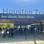 Houston Zoo